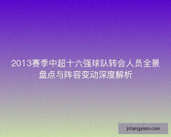 2013赛季中超十六强球队转会人员全景盘点与阵容变动深度解析